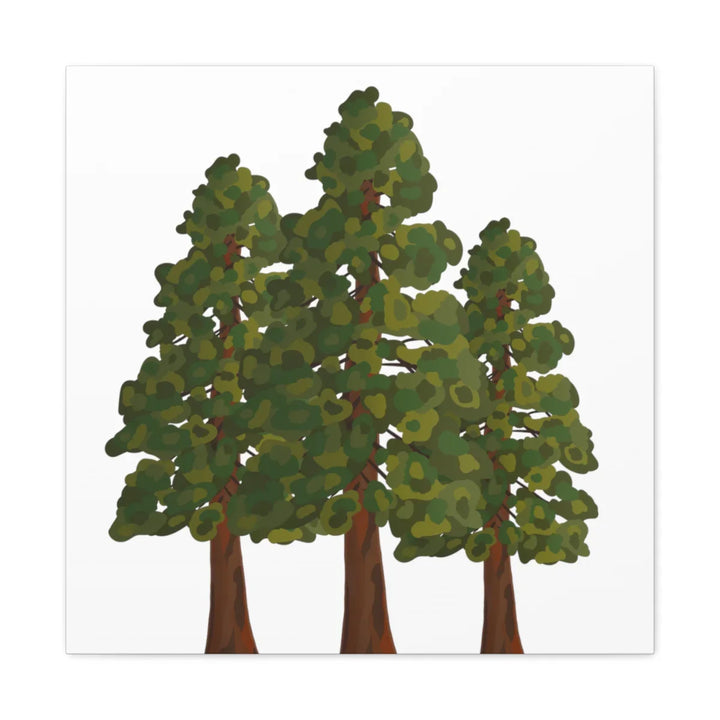 Coastal Redwoods Canvas - Stretched Cotton Canvas Art Print | Matte Finish Wall Hanging Artwork