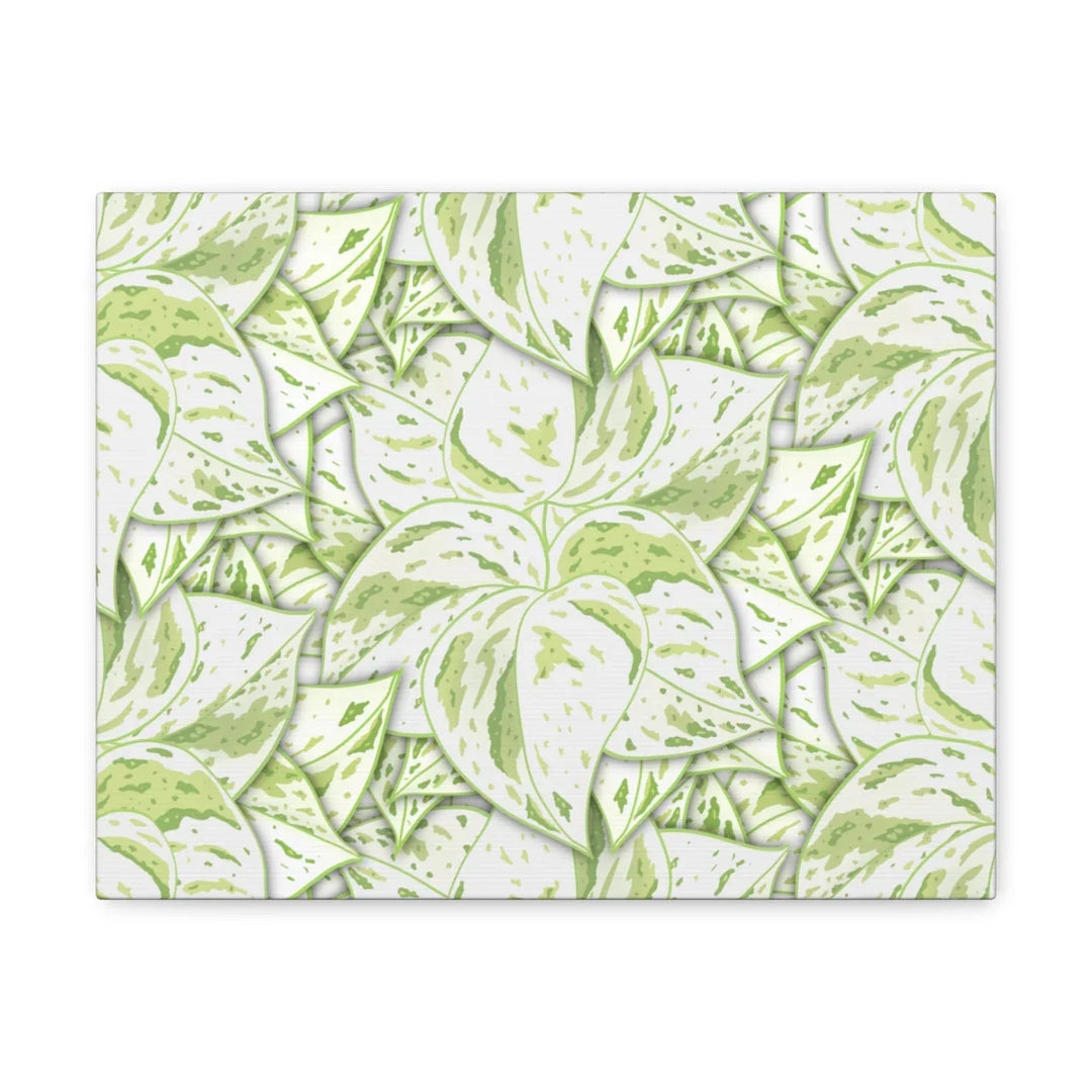 Snow Queen Pothos Canvas – Matte Finish Canvas Art Print | Variegated Botanical Wall Decor