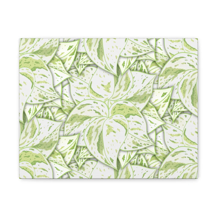 Snow Queen Pothos Canvas – Matte Finish Canvas Art Print | Variegated Botanical Wall Decor