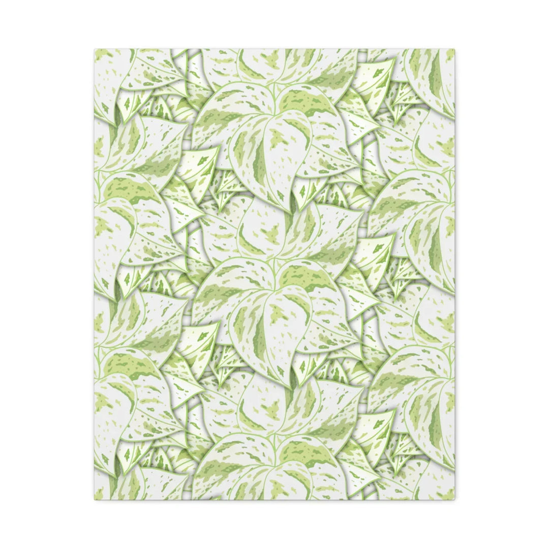 Snow Queen Pothos Canvas – Matte Finish Canvas Art Print | Variegated Botanical Wall Decor