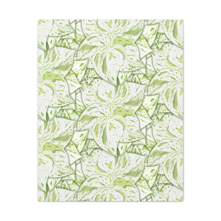 Snow Queen Pothos Canvas – Matte Finish Canvas Art Print | Variegated Botanical Wall Decor