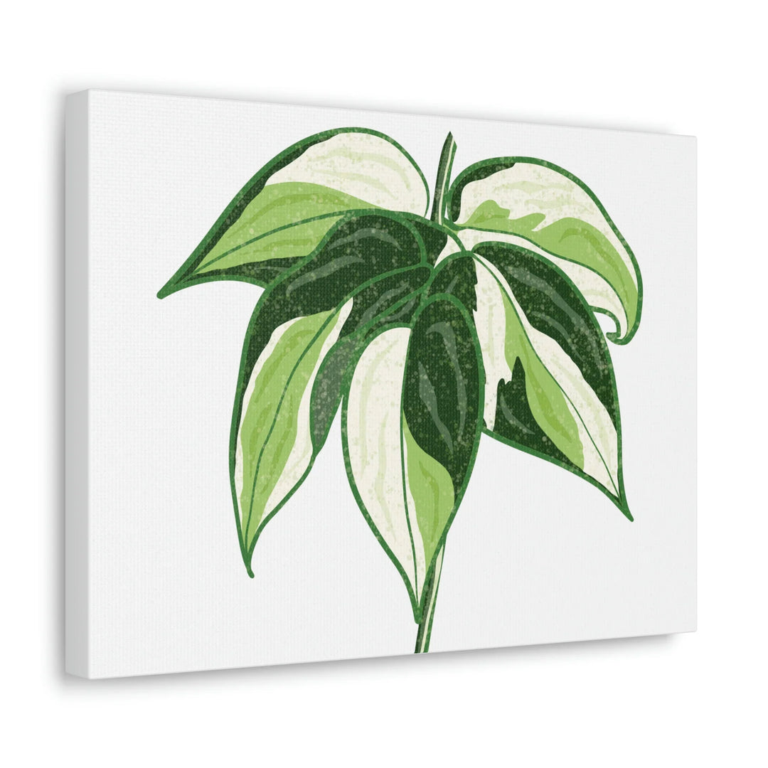Philodendron Canvas Print - Cream Splash Variegated Plant Art on Matte Cotton Canvas