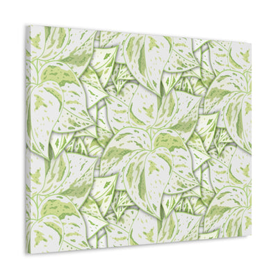 Snow Queen Pothos Canvas