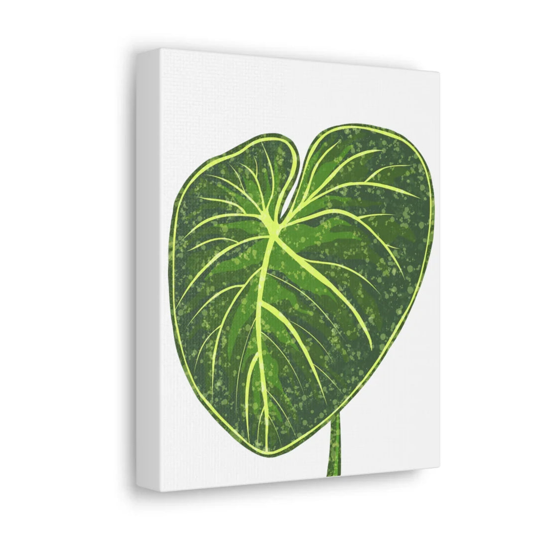 Philodendron Gloriosum Canvas - Stretched Canvas Art Print | Matte Indoor Wall Art - Laura Christine Photography & Design