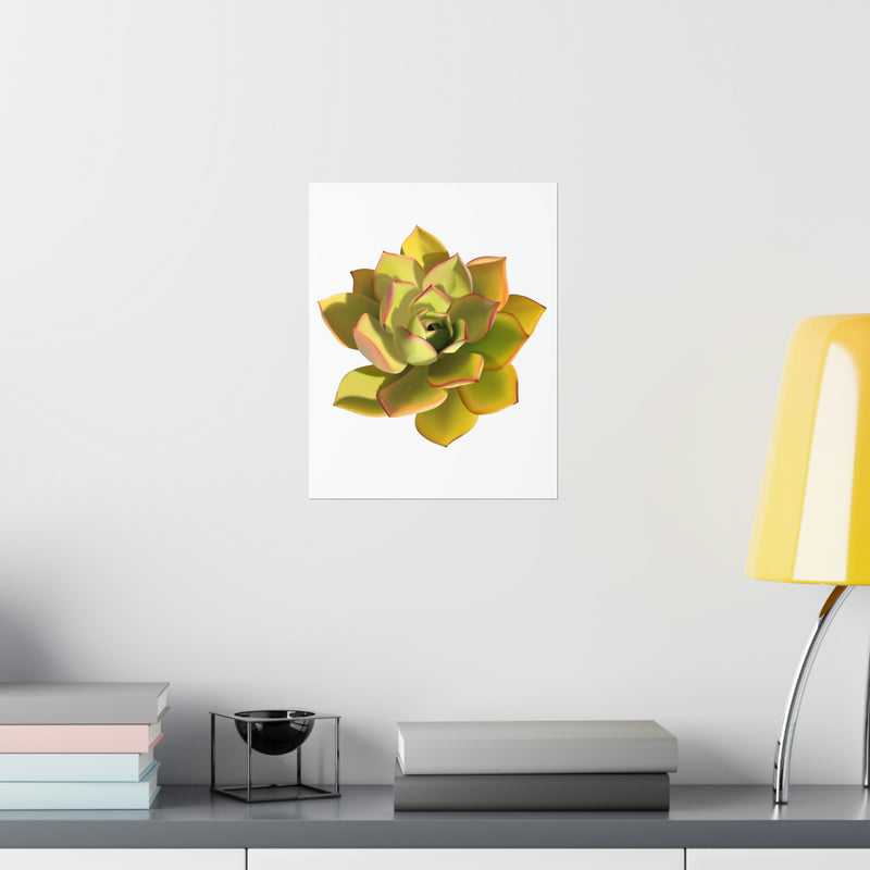 Noble Aeonium Succulent Print