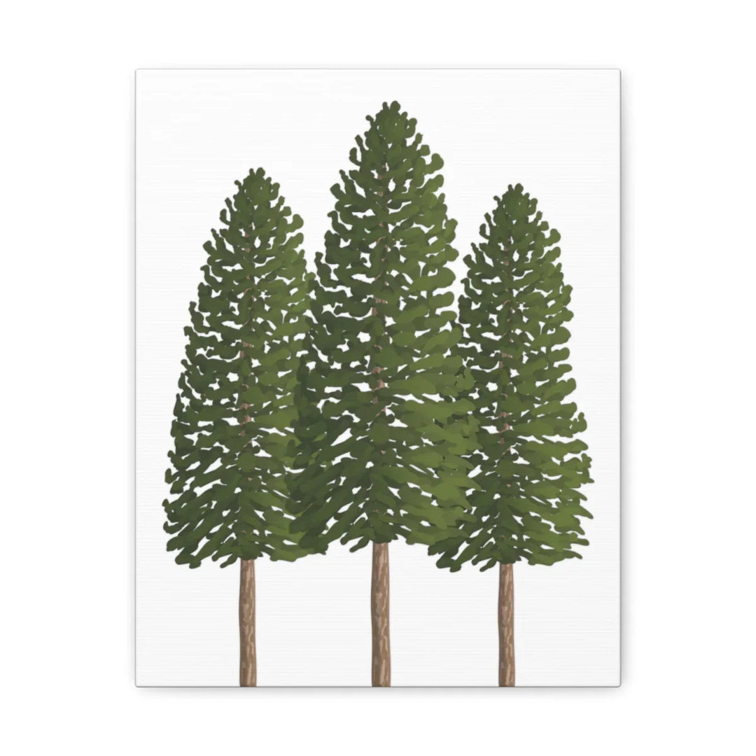 Ponderosa Pine Canvas - Large Stretched Cotton Canvas Art Print With Matte Finish