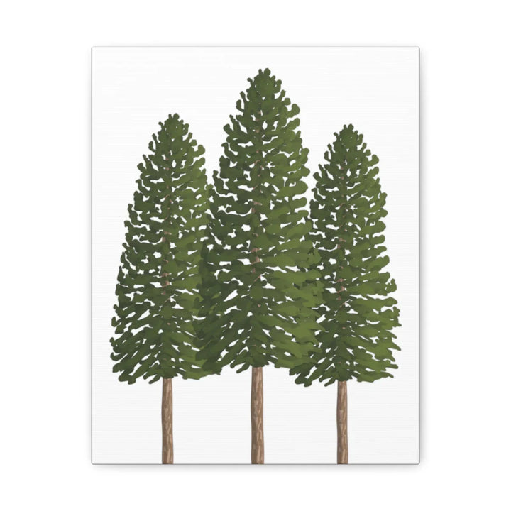 Ponderosa Pine Canvas - Large Stretched Cotton Canvas Art Print With Matte Finish