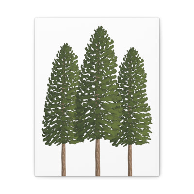 Ponderosa Pine Canvas