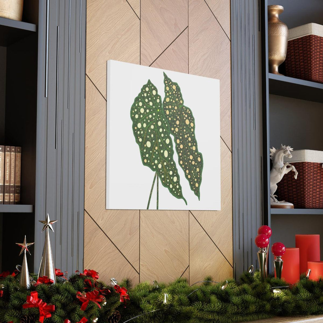 Begonia Maculata Canvas | Premium Canvas Art Print - Matte Finish, Durable Wall Decor - Laura Christine Photography & Design
