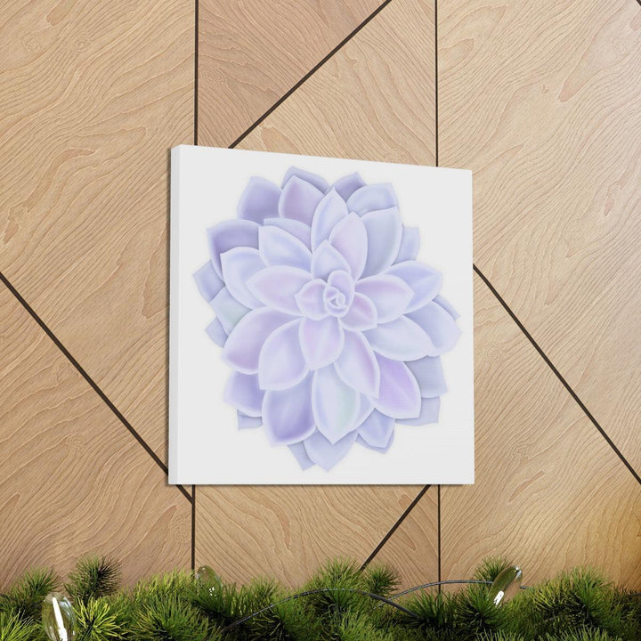 Graptopetalum 'Murasaki' Succulent Canvas, Canvas, Laura Christine Photography & Design, Art & Wall Decor, Canvas, Hanging Hardware, Home & Living, Indoor, Laura Christine Photography & Design, laurachristinedesign.com