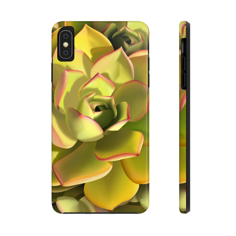 Noble Aeonium Succulent Phone Case, Phone Case, Printify, Accessories, Glossy, iPhone Cases, Matte, Phone accessory, Phone Cases, Samsung Cases, Laura Christine Photography & Design, laurachristinedesign.com