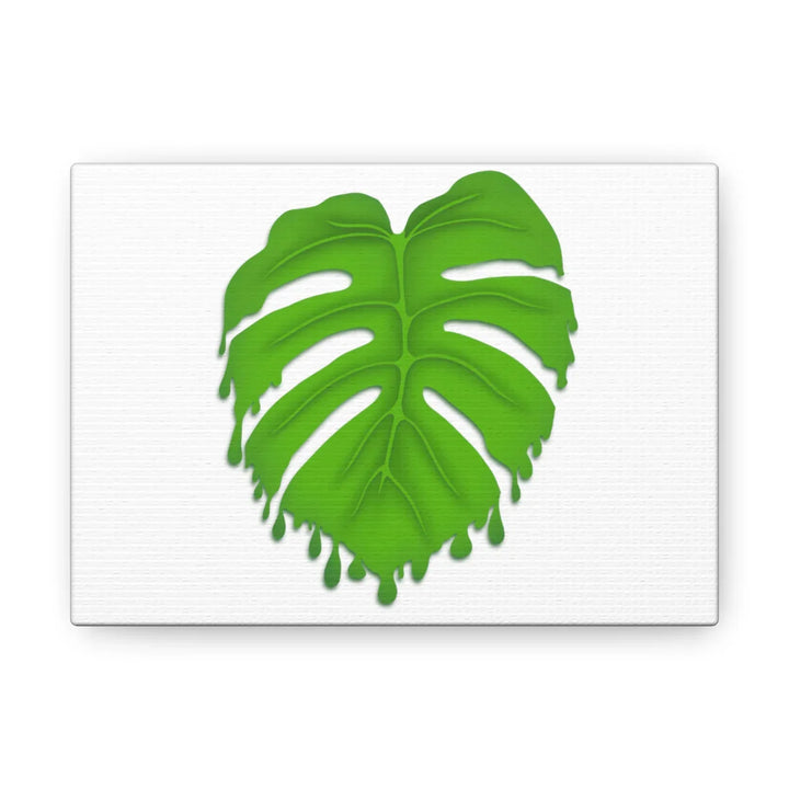 Melting Monstera Canvas | Large Botanical Canvas Art Print With Matte Finish