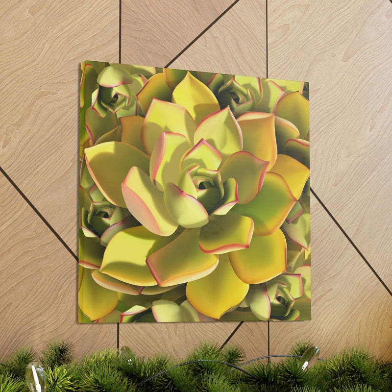 Noble Aeonium Succulent Pattern Canvas, Canvas, Printify, Art & Wall Decor, Canvas, Hanging Hardware, Home & Living, Indoor, Laura Christine Photography & Design, laurachristinedesign.com