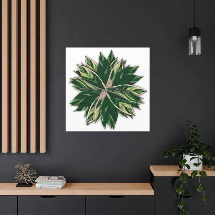 Stromanthe Triostar Canvas - Pastel Stripe Canvas Art Print With Vivid Color Artwork