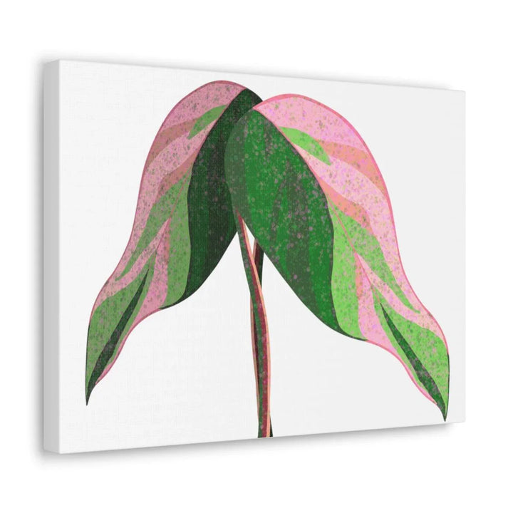 Pink Princess Philodendron Canvas, Canvas, Laura Christine Photography & Design, Art & Wall Decor, Canvas, Hanging Hardware, Home & Living, Indoor, Laura Christine Photography & Design, 