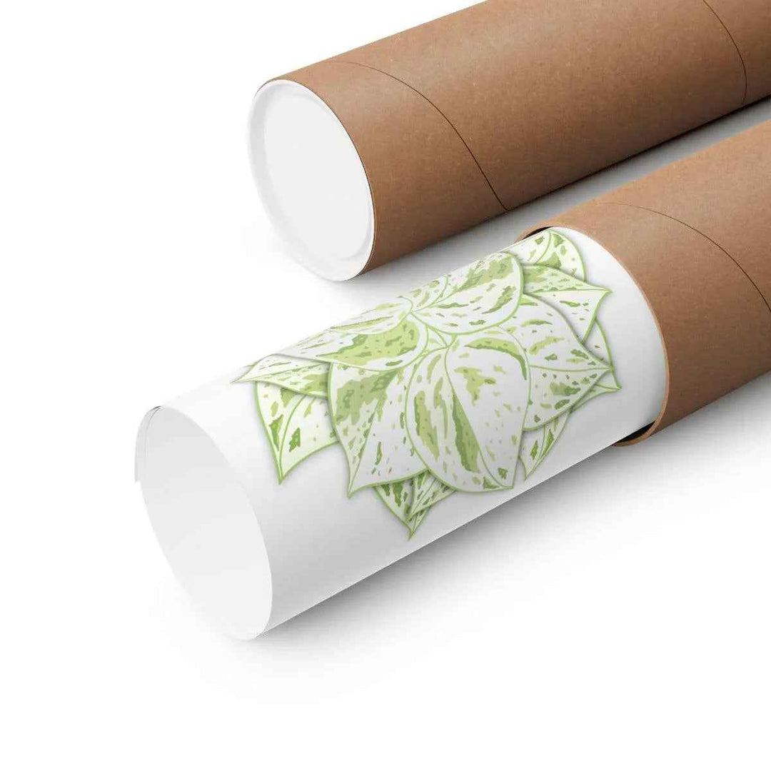 Snow Queen Pothos Print – Variegated Pothos Art on Museum Grade Paper Unframed