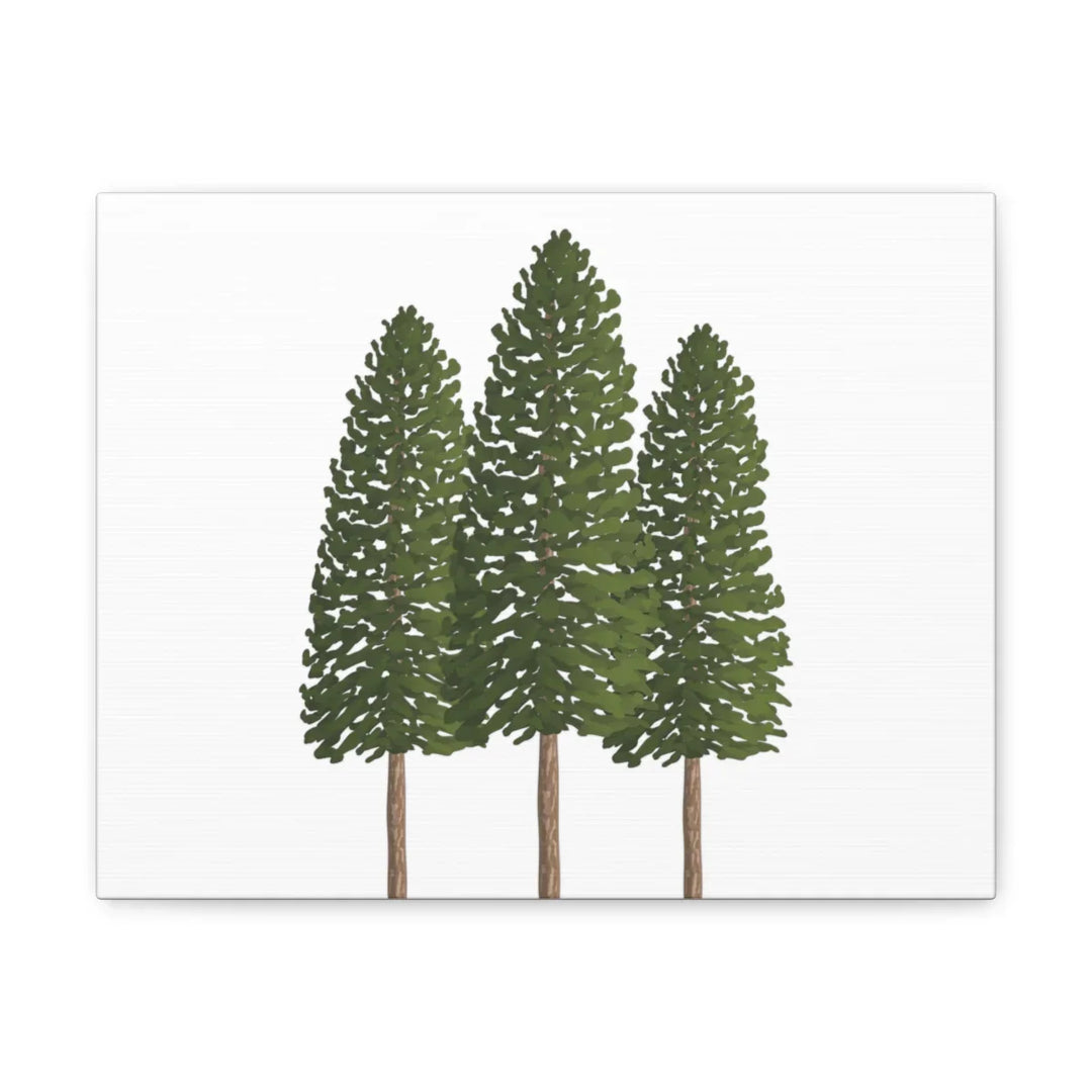 Ponderosa Pine Canvas - Large Stretched Cotton Canvas Art Print With Matte Finish