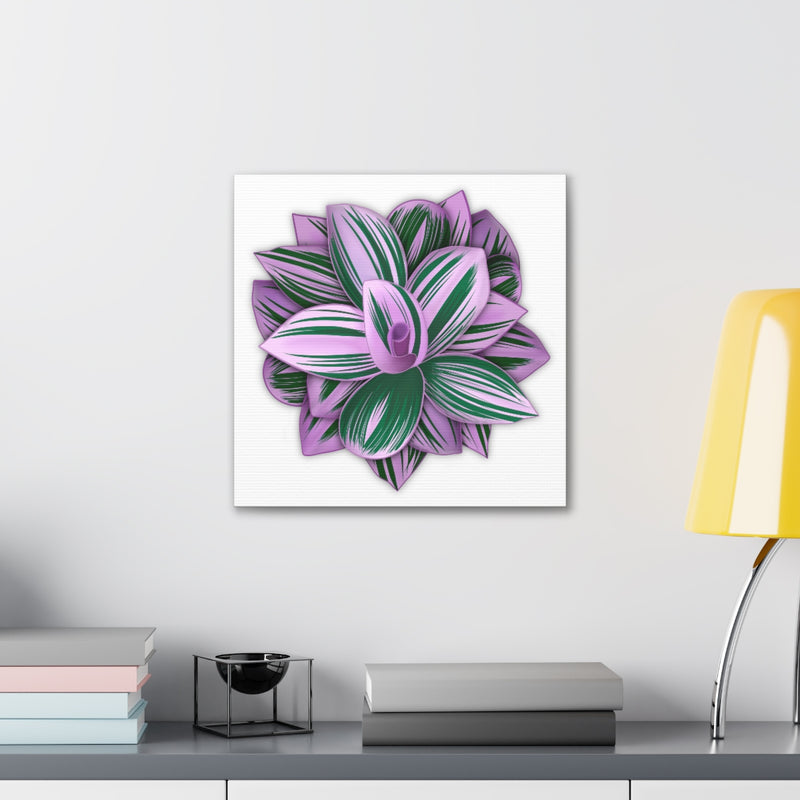 Tradescantia Nanouk Canvas