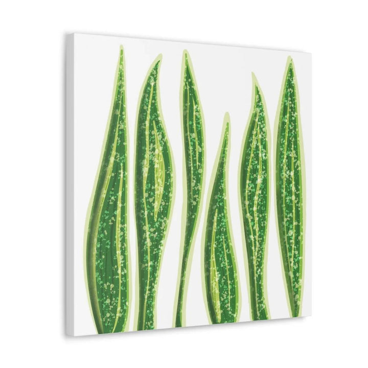 Snake Plant Canvas | Botanical Canvas Decor - Matte Finish Artwork for Living Room - Laura Christine Photography & Design