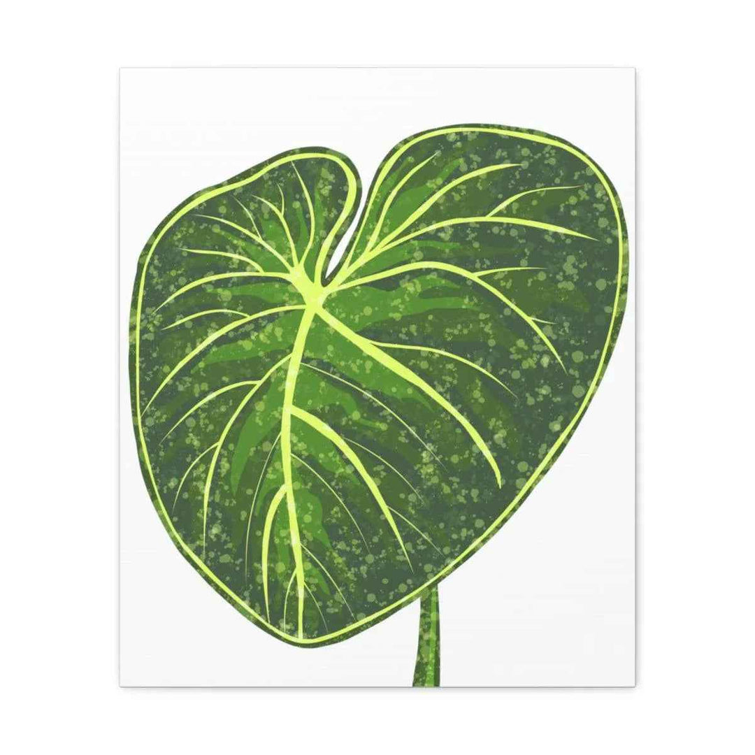 Philodendron Gloriosum Canvas - Stretched Canvas Art Print | Matte Indoor Wall Art