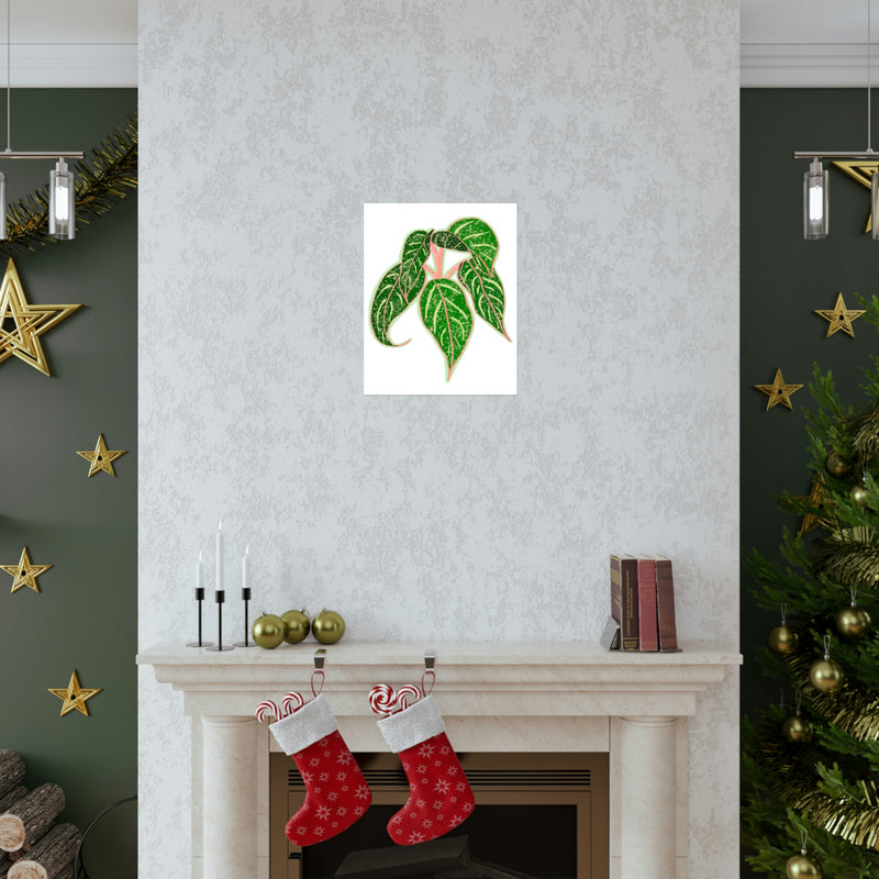 Aglaonema Sparkling Sarah Print