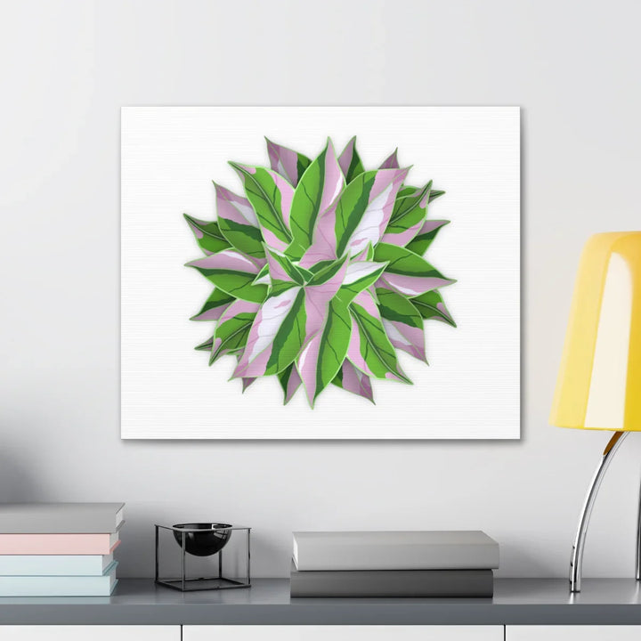 Tricolor Syngonium Canvas - Durable Canvas Art Print With Matte Finish & Botanical Design - Laura Christine Photography & Design