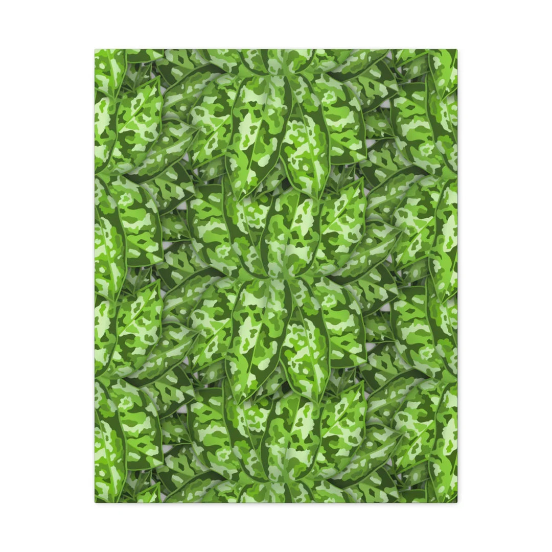 Aglaonema Pictum Canvas - Rare Camouflage Leaf Print Canvas Art Print