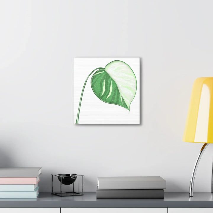 Monstera Albo Canvas | Large Tropical Leaf Artwork - Matte Finish Canvas Art Print - Laura Christine Photography & Design