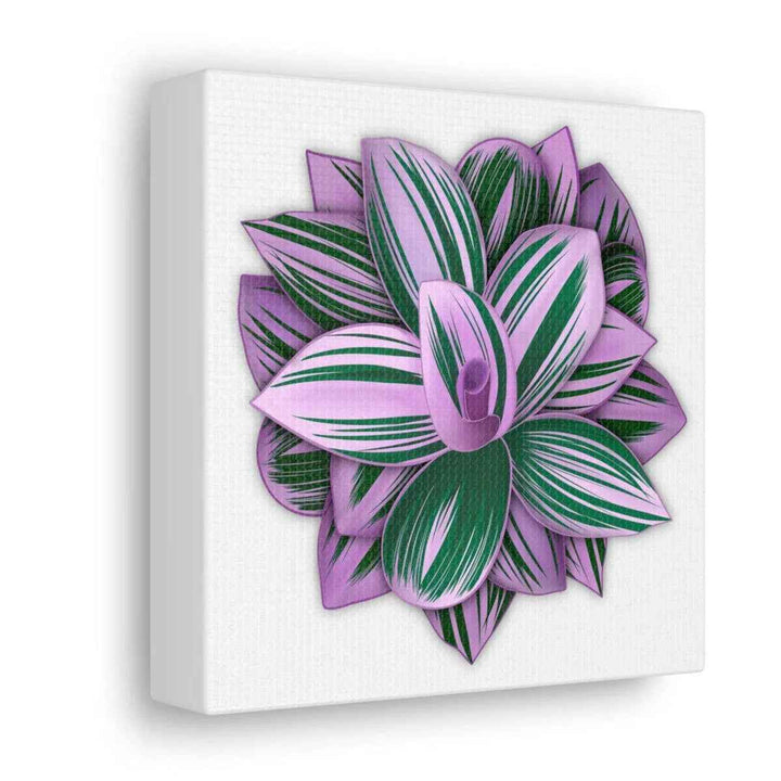 Tradescantia Nanouk Canvas – Botanical Canvas Art Print | Matte Finish Wall Decor