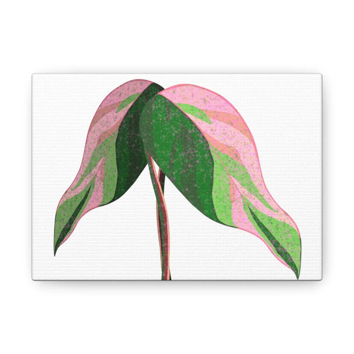 Pink Princess Philodendron Canvas Art Print – Botanical Wall Decor | Matte Finish