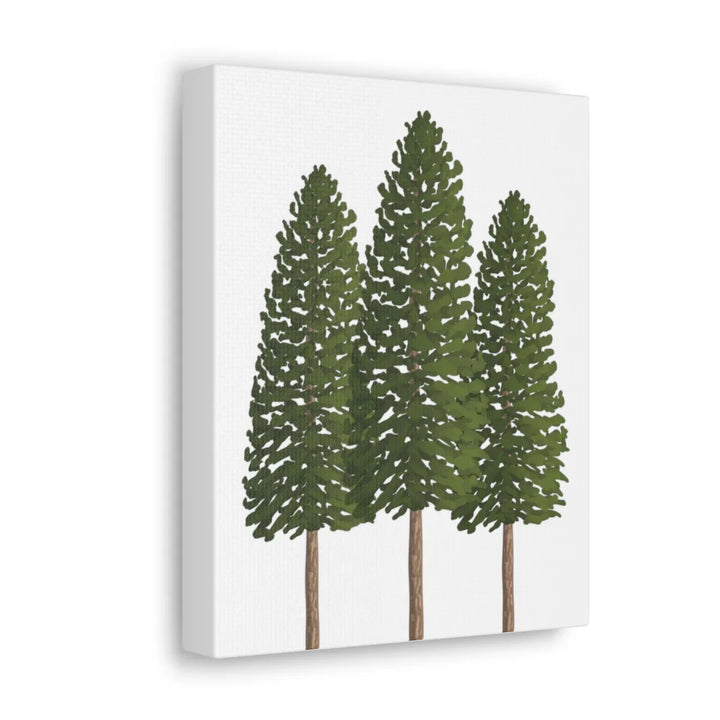 Ponderosa Pine Canvas - Large Stretched Cotton Canvas Art Print With Matte Finish