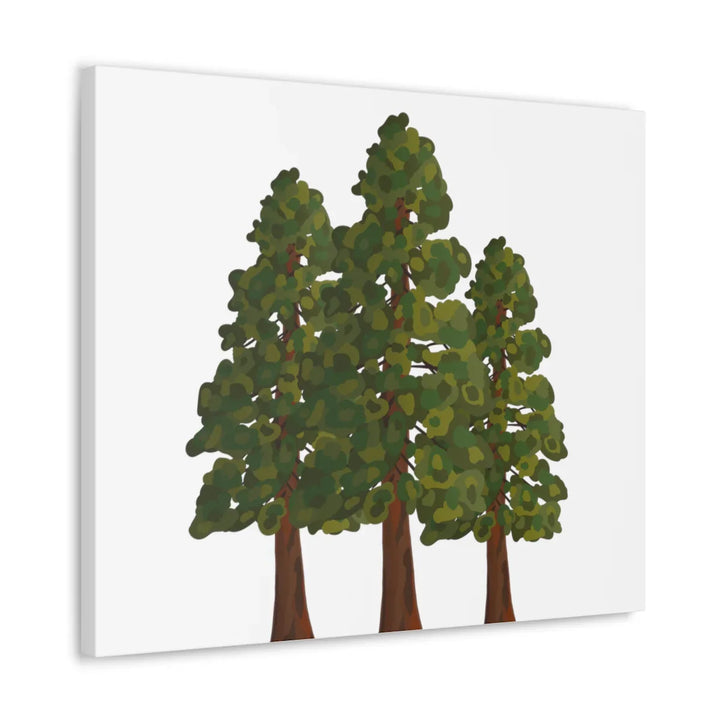 Coastal Redwoods Canvas - Stretched Cotton Canvas Art Print | Matte Finish Wall Hanging Artwork