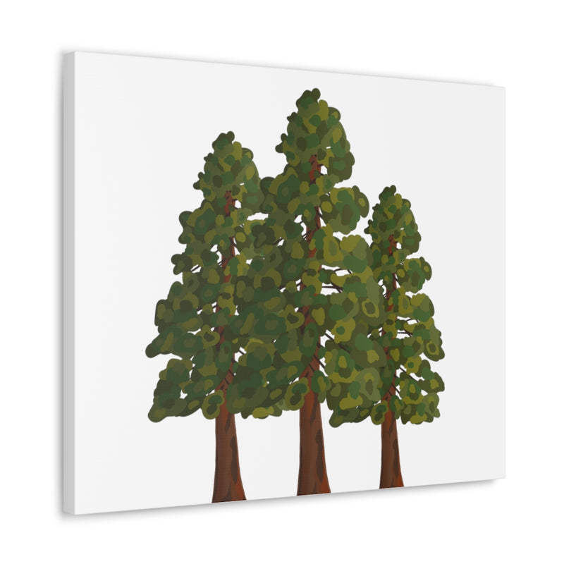 Coastal Redwoods Canvas