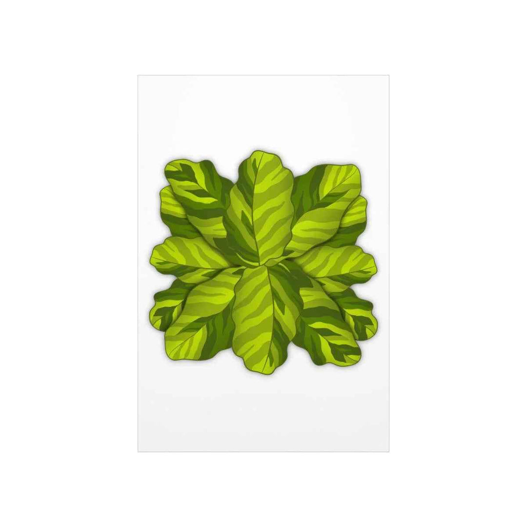 Calathea Yellow Fusion Print – Botanical Wall Art on Museum-Grade Paper Unframed