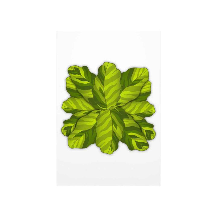 Calathea Yellow Fusion Print – Botanical Wall Art on Museum-Grade Paper Unframed