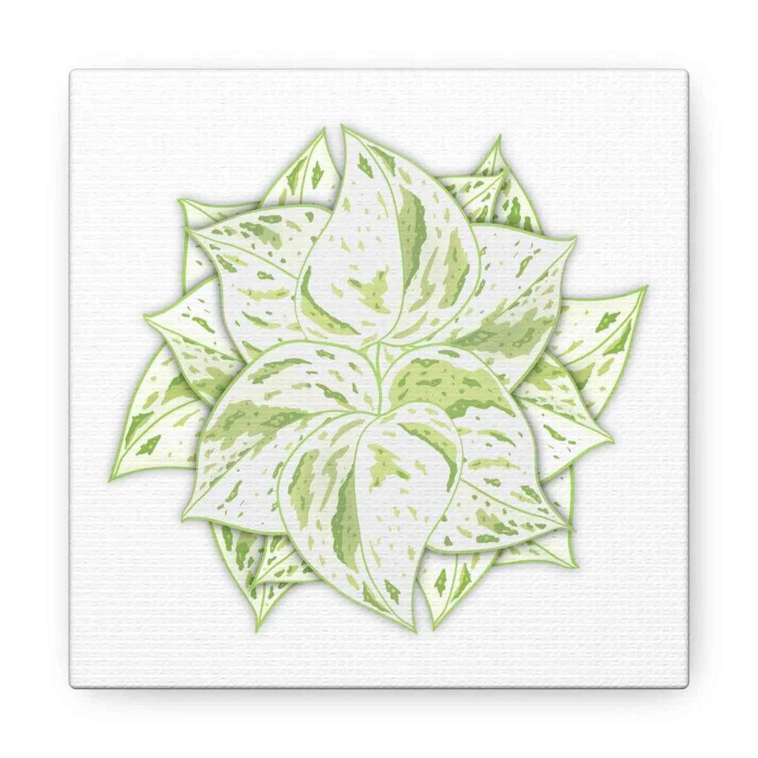 Snow Queen Pothos Canvas – Variegated Leaf Canvas Art Print | Durable Cotton