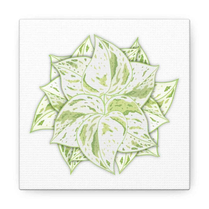 Snow Queen Pothos Canvas – Variegated Leaf Canvas Art Print | Durable Cotton