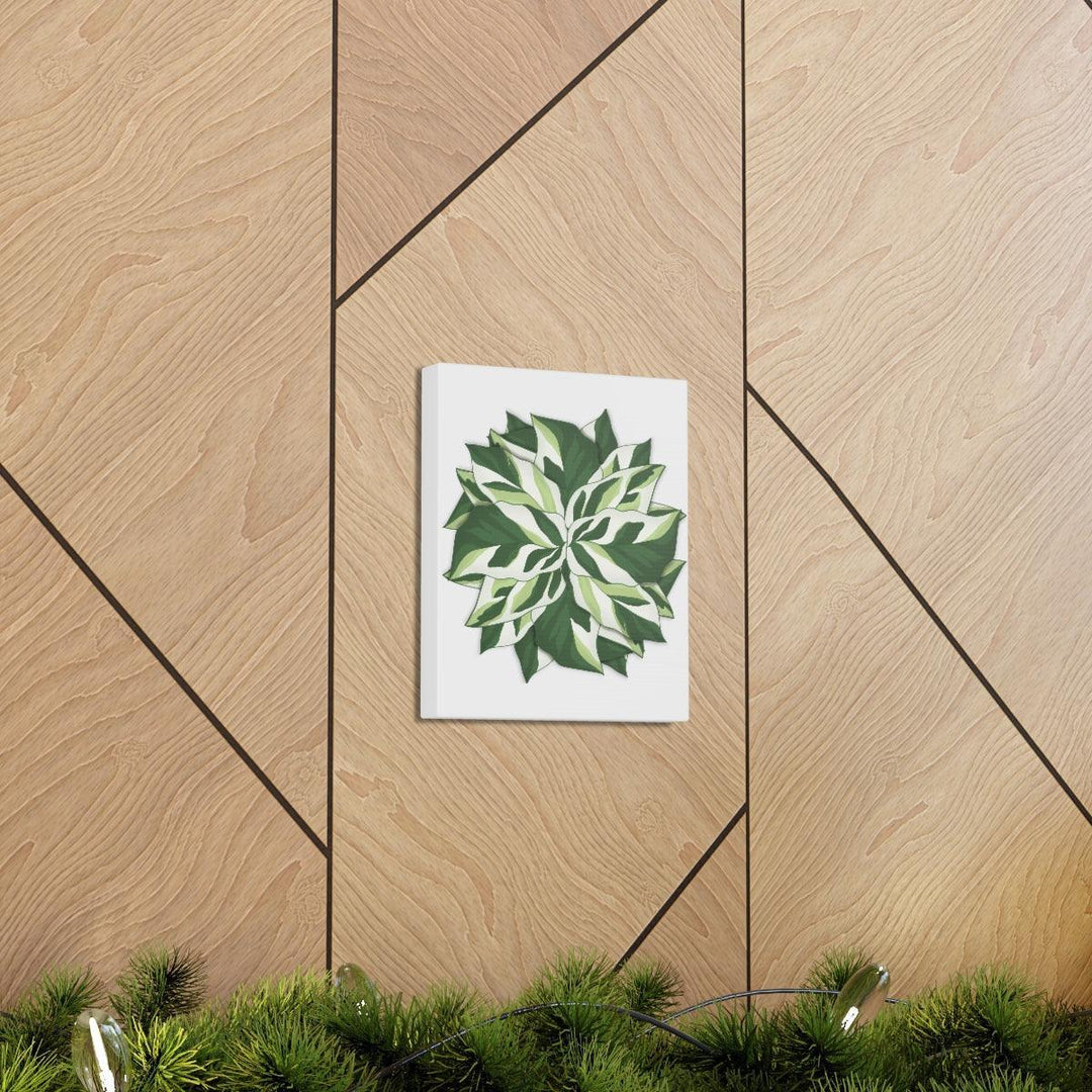 Calathea White Fusion Canvas | Indoor Wall Art - Matte Finish Botanical Canvas Art Print - Laura Christine Photography & Design