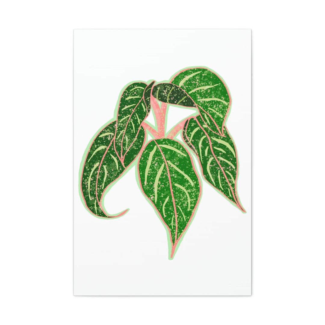 Aglaonema Plant Canvas | Sparkling Plant Artwork - Colorfast Canvas Art Print Decor