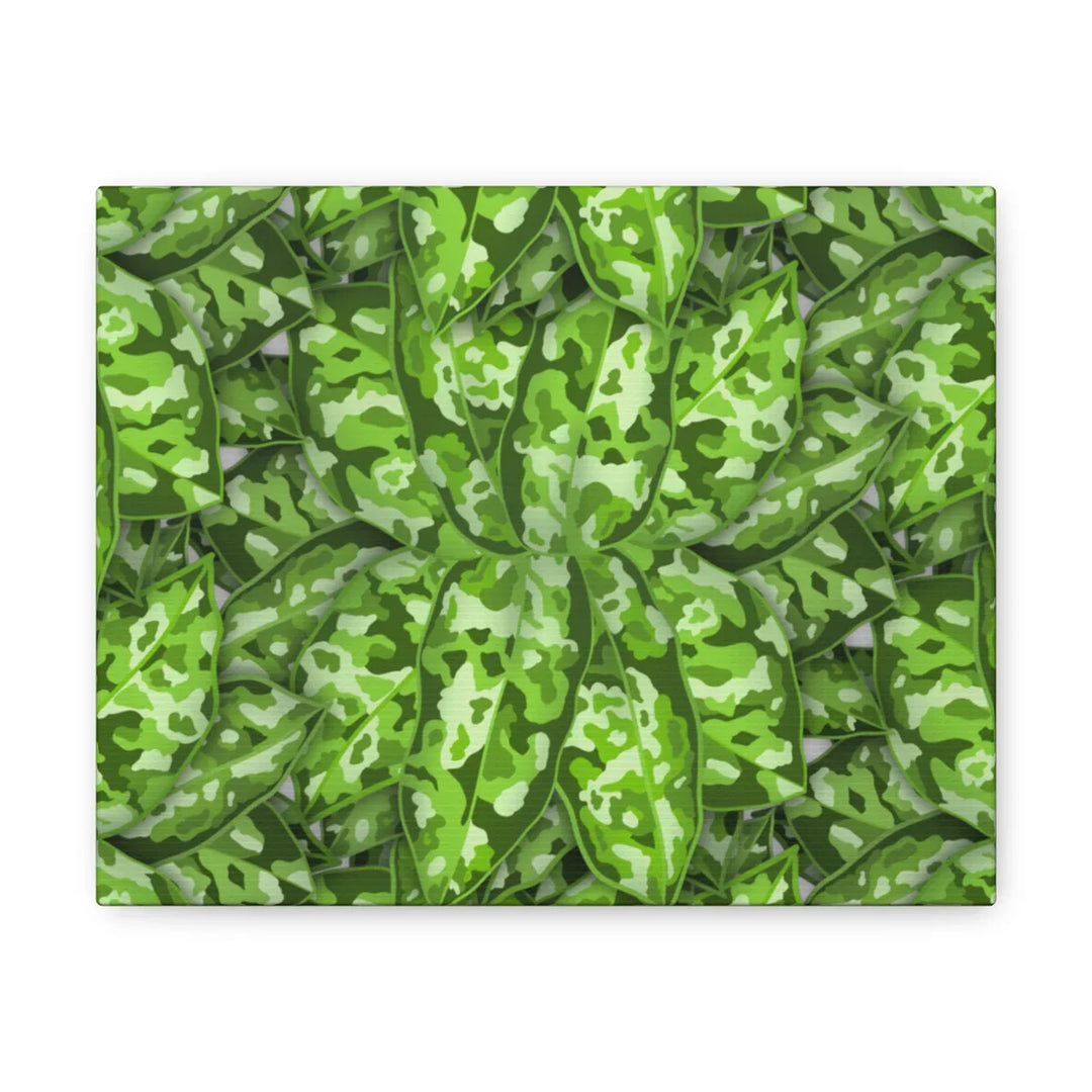 Aglaonema Pictum Canvas - Rare Camouflage Leaf Print Canvas Art Print