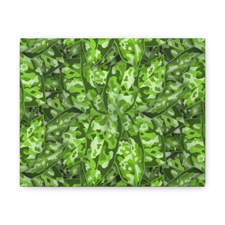 Aglaonema Pictum Canvas - Rare Camouflage Leaf Print Canvas Art Print