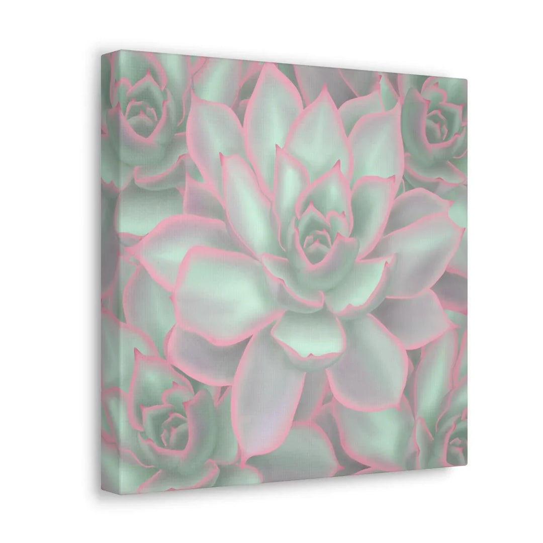 Echeveria Violet Queen Succulent Canvas, Canvas, Laura Christine Photography & Design, Art & Wall Decor, Canvas, Hanging Hardware, Home & Living, Indoor, Laura Christine Photography & Design, laurachristinedesign.com