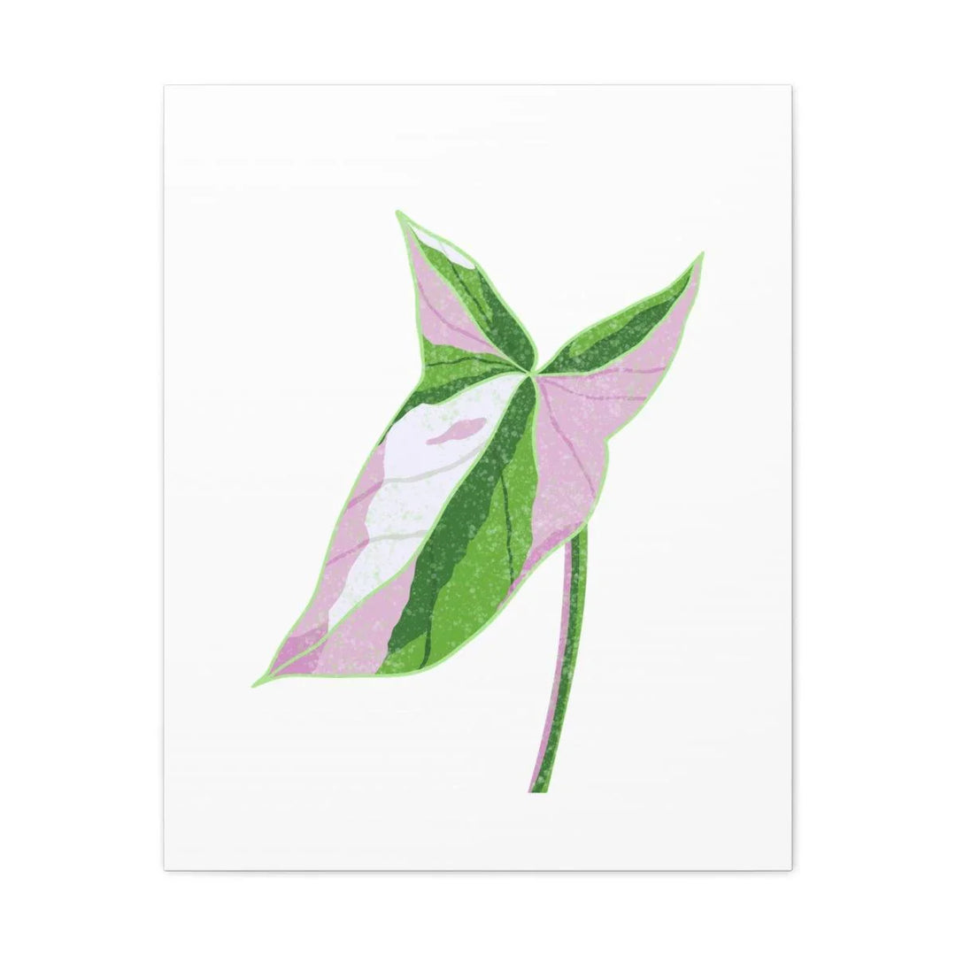 Syngonium Tricolor Canvas | Botanical Canvas Art Print With Matte Finish - Laura Christine Photography & Design