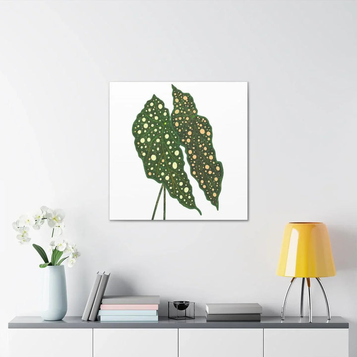 Begonia Maculata Canvas | Premium Canvas Art Print - Matte Finish, Durable Wall Decor - Laura Christine Photography & Design