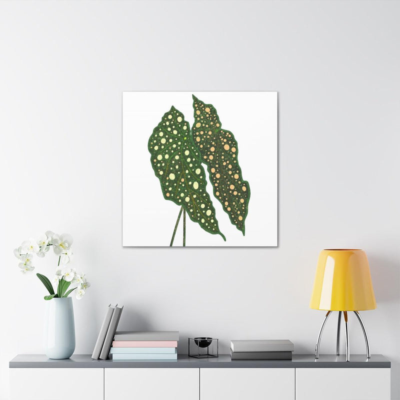 Begonia Maculata Canvas, Canvas, Laura Christine Photography & Design, Art & Wall Decor, Canvas, Hanging Hardware, Home & Living, Indoor, Laura Christine Photography & Design, 