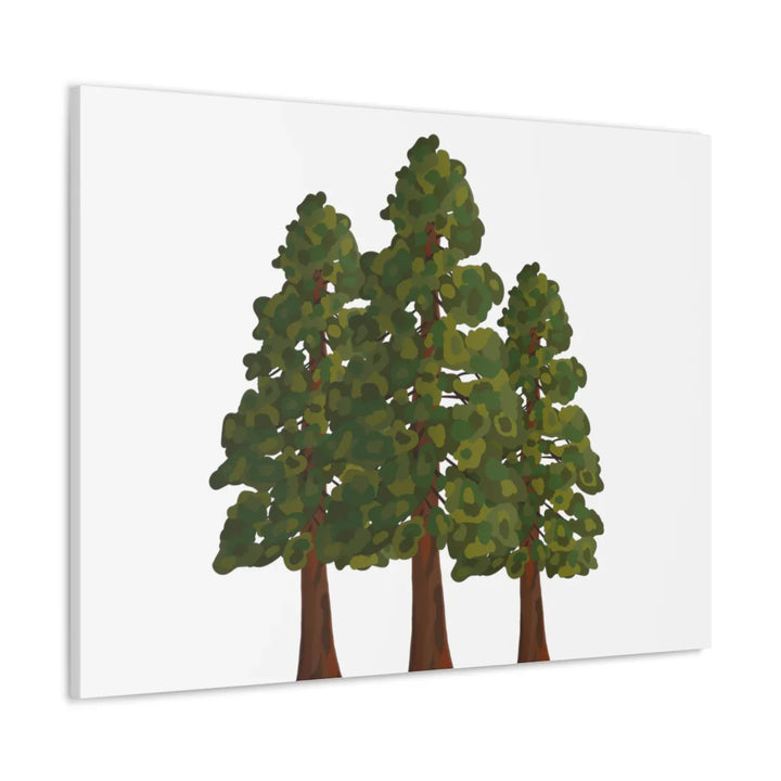 Coastal Redwoods Canvas - Stretched Cotton Canvas Art Print | Matte Finish Wall Hanging Artwork