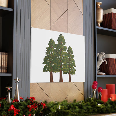 Coastal Redwoods Canvas