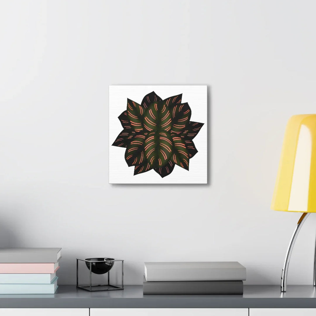 Calathea Pinstripe Canvas – Botanical Canvas Art Print | Matte Finish Wall Decor