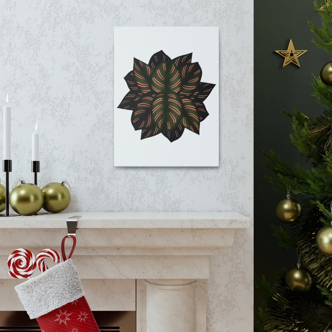 Calathea Pinstripe Canvas – Botanical Canvas Art Print | Matte Finish Wall Decor