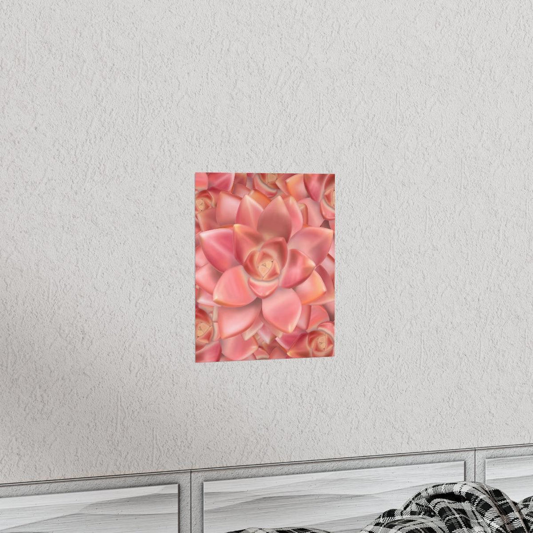 Graptosedum 'California Sunset'  Succulent Print, Poster, Laura Christine Photography & Design, Back to School, Home & Living, Indoor, Matte, Paper, Posters, Valentine's Day promotion, Laura Christine Photography & Design, laurachristinedesign.com